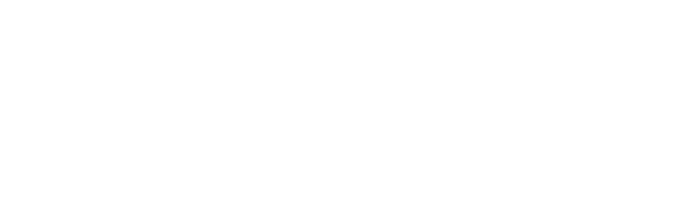 Steam, PC, XBOX X, PS5